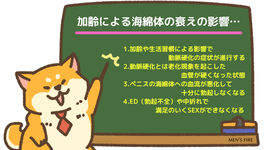 加齢による海綿体の減少が回復するまでの期間は？