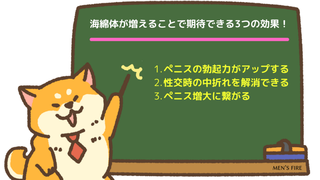 海綿体が増えると3つの効果に期待できる！