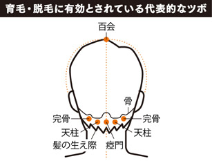 STEP⑤：効果的なスカルプエクササイズ