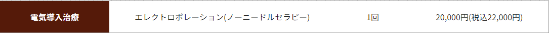 治療法❷：エレクトロポレーション【電気導入治療】